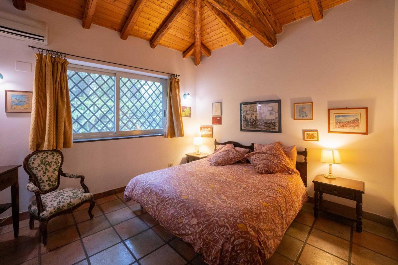 Apartmán Etna Botanic Garden Mascalucia Exteriér fotografie