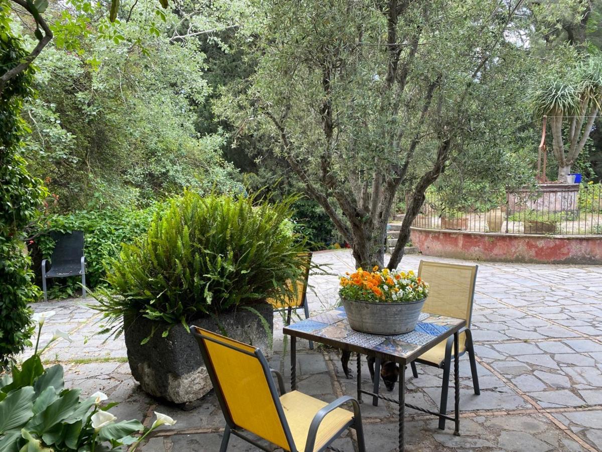 Apartmán Etna Botanic Garden Mascalucia Exteriér fotografie