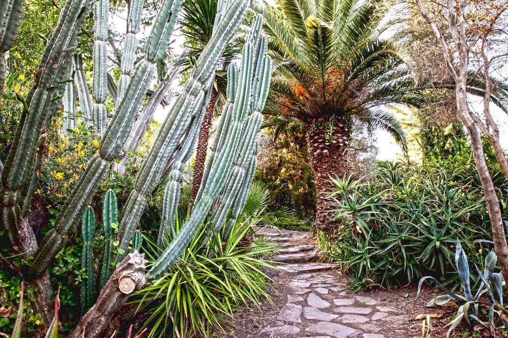 Apartmán Etna Botanic Garden Mascalucia Exteriér fotografie
